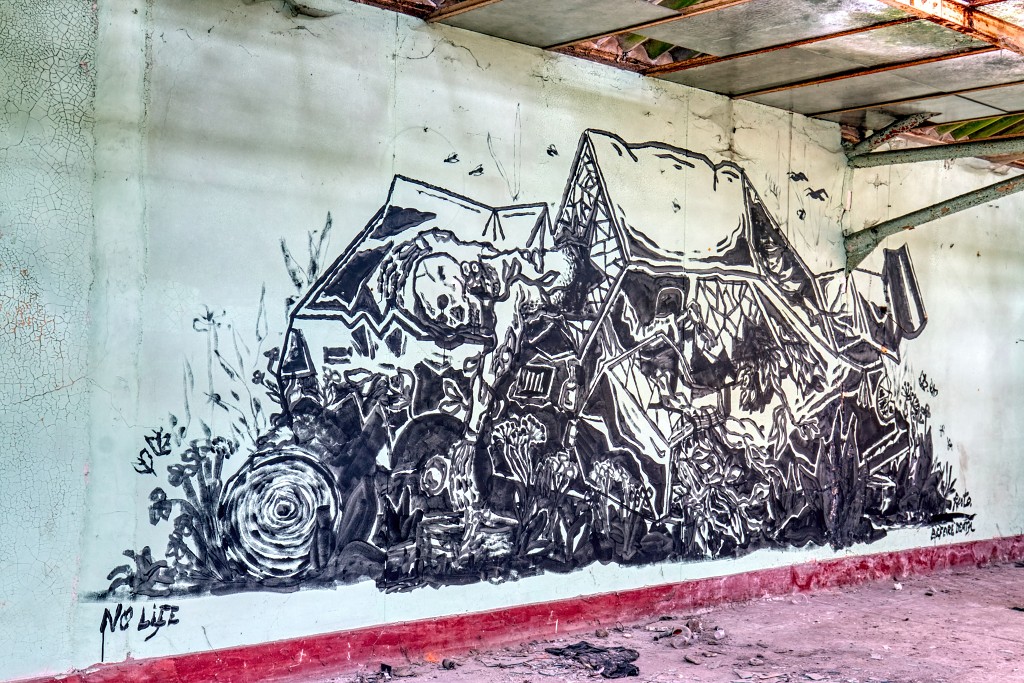 HDR graffiti streetart street-art street art skeleton factory urbex roa klaas van der linden kunst kunstwerk decay verlaten lost place places abandoned